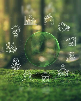 Sustainability by Design: building greener products for a sustainable future