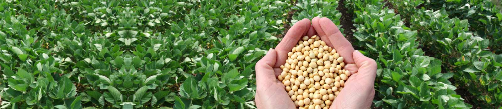 a-major-agricultural-and-specialty-formulators-banner.jpg a-major-agricultural-and-specialty-formulators-banner.jpg