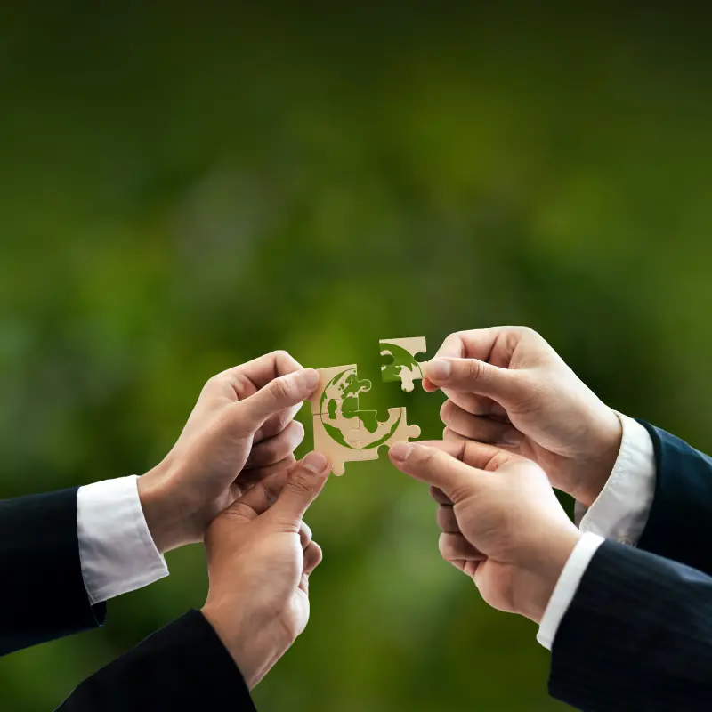 Birlasoft achieves SBTi Approval for its Net Zero Commitment