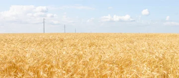 agronegocio-br-thumb